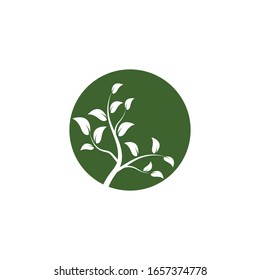 Tree icon logo vector on white background