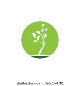 Tree icon logo vector on white background