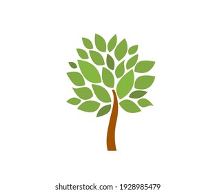 Tree icon. Nature, park. Vector image.