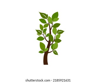Tree icon. Nature, park. Vector image.