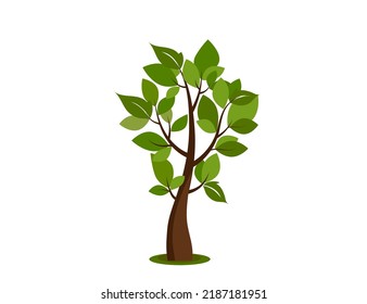 Tree icon. Nature, park. Vector image.