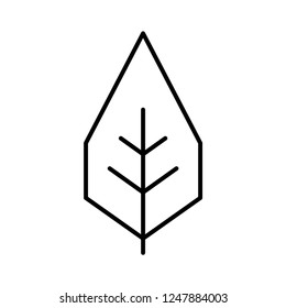 Tree icon. Nature sign