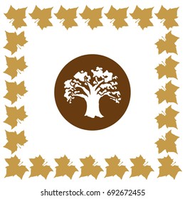 tree icon, oak vector illustration