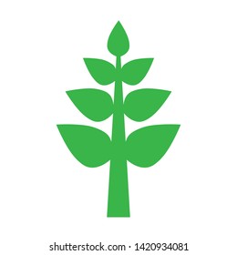 Tree icon on white background.