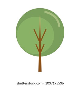 tree icon over white background vector illustration