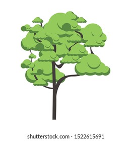 tree icon over white background, vector illustration