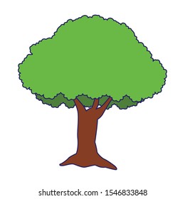 tree icon over white background, colorful design. vector illustration
