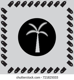 tree icon, palm vector illustration