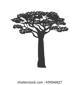 Tree icon. Plant and nature design. vector graphic