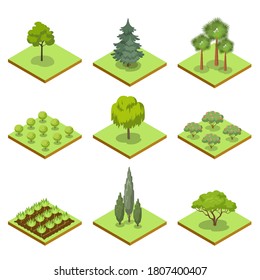 Tree icon. Public park, forest and garden landscape vector icon. Nature map element for summer parkland illustration. Decorative tree, fir, bush and plant isolated isometric set on white background