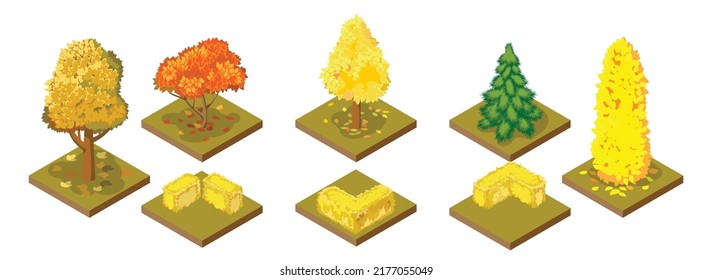 Tree icon. Public park, forest and garden vector icon. Nature map element for autumn park illustration. Decorative tree, spruce, bush isolated isometric set on white background