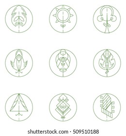 Tree icon set. Graphical line, collection of nature signs, logos and symbols vector illustration