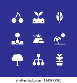 tree icon set with leaf, sprout and cherries vector icons for web and graphic design