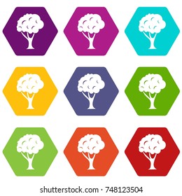 Tree icon set many color hexahedron isolated on white vector illustration