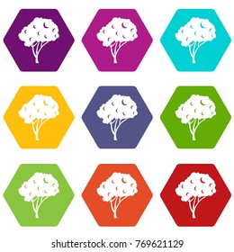 Tree icon set many color hexahedron isolated on white vector illustration