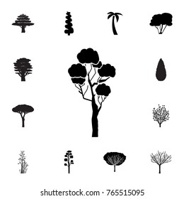 Tree Icon. Set of silhouette of tree icons. Web Icons Premium quality graphic design. Signs, outline symbols collection, simple icons for websites, web design, mobile app on white background