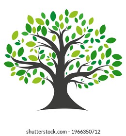 Tree icon. Simple vector illustration on a white background.