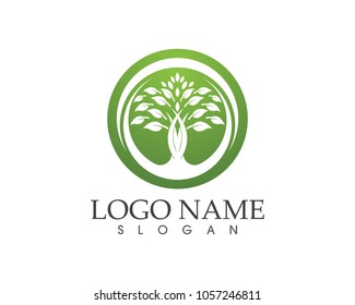 Tree icon, stylized tree logo
