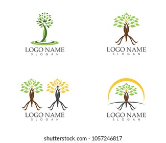 Tree icon, stylized tree logo

