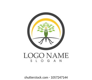 Tree icon, stylized tree logo
