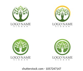 Tree icon, stylized tree logo
