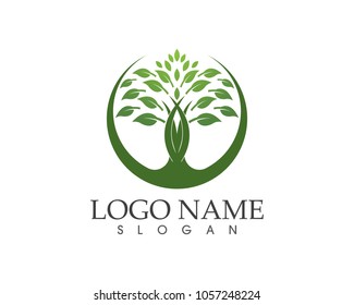 Tree icon, stylized tree logo