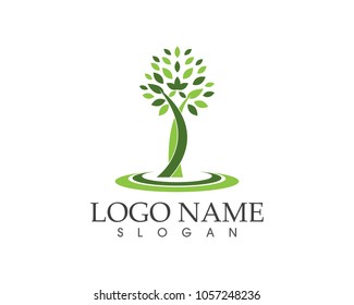 Tree icon, stylized tree logo