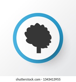 Tree icon symbol. Premium quality isolated wood element in trendy style.