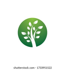 Tree icon symbol vector illustration design
