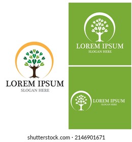 Tree icon and symbol vector template
