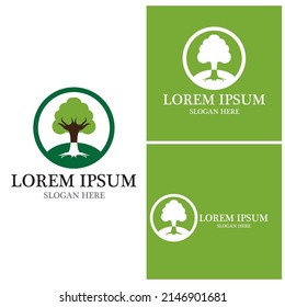 Tree icon and symbol vector template