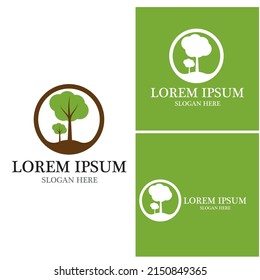 Tree icon and symbol vector template