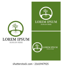 Tree icon and symbol vector template