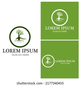 Tree icon and symbol vector template