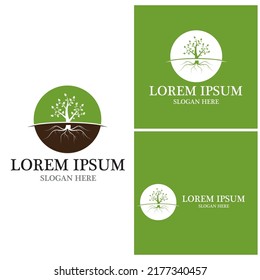 Tree icon and symbol vector template