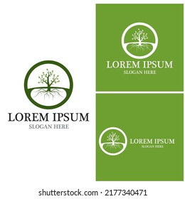 Tree icon and symbol vector template