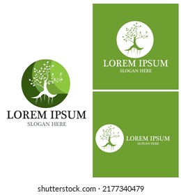 Tree icon and symbol vector template