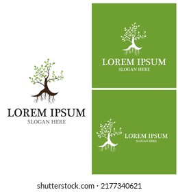 Tree icon and symbol vector template