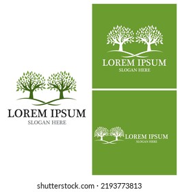 Tree icon and symbol vector template