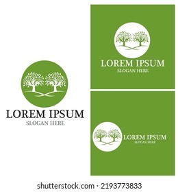 Tree icon and symbol vector template