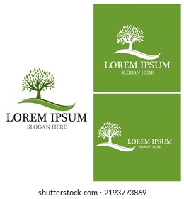 Tree icon and symbol vector template