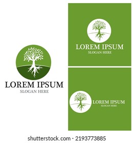 Tree icon and symbol vector template