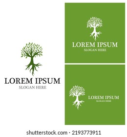 Tree icon and symbol vector template