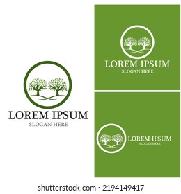 Tree icon and symbol vector template