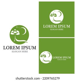 Tree icon and symbol vector template