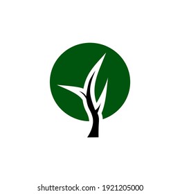 Tree icon template green color editable. Branch forest symbol vector sign isolated on white background. Simple logo vector illustration for graphic and web design.