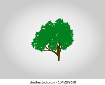 tree icon with thick leaves in the summer