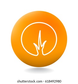  tree icon vector .