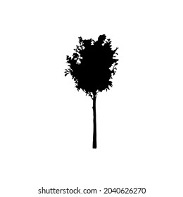 Vector de icono de árbol. signo de ilustración de jardín. símbolo del parque. logotipo de madera.
