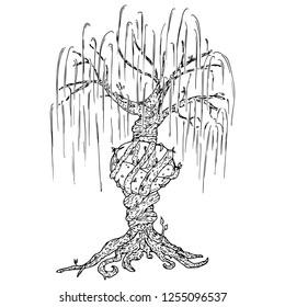 Tree icon. Vector illustration big tree willow. Hand drawn weeping willow tree.